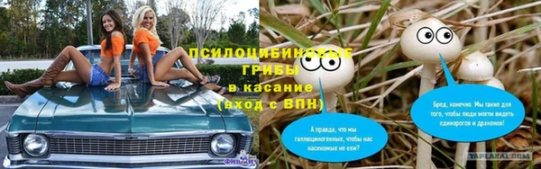 тгк Волоколамск